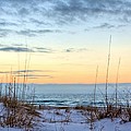 The Dunes of PC Beach